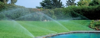 Impianti irrigazione Pisa. Toscana Potature