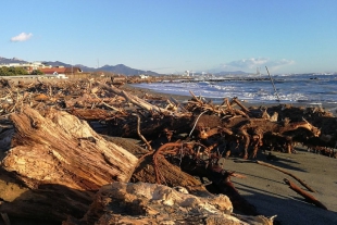 Raccolta e smaltimento rifiuti a Marinella, Ricci (PD): &quot;I problemi seri si risolvono seriamente&quot;