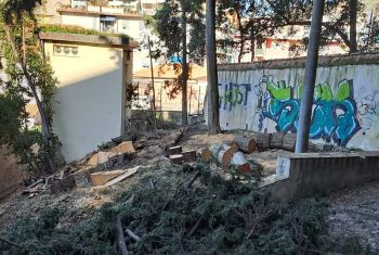 Lerici, una petizione per chiedere che il Comune adotti un Regolamento del verde