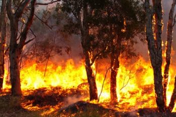 Incendi: lunedì cesserà lo stato di grave pericolosità