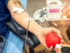 &quot;Donate sangue senza timori&quot;, l&#039;appello della Dott.ssa Agostini del San Martino
