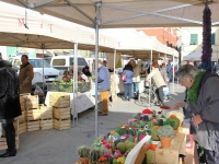 Avvicendamento al vertice della Condotta Slow Food Sarzana-Lerici-Val di Magra