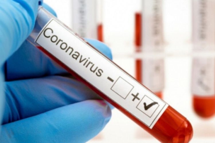 Coronavirus: in Asl 5 aumentano i ricoveri, 149 nuovi positivi nello spezzino