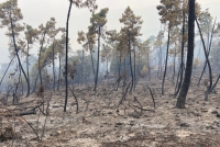 Tre famiglie evacuate a Framura, si mobilitano altri canadair (foto e video)