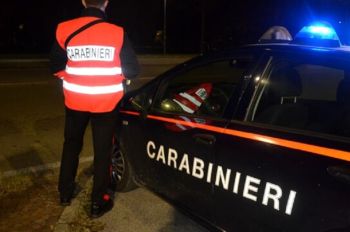 Due labrador salvati dai Carabinieri