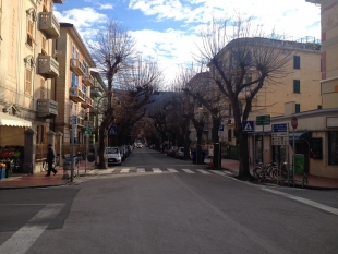 Levanto, al via la potatura dei tigli