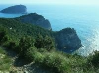 Un contratto d&#039;Isola per rilanciare la Palmaria giardino botanico naturale