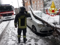 Dall&#039;ambulanza in panne all&#039;abero caduto, gli interventi dei Vigili del Fuoco in mezzo alla neve (foto)