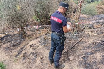 Denunciati i presunti responsabili dell&#039;incendio nei boschi di Pitelli