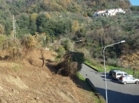 Isola, una piantagione di fichi dove c&#039;erano rovi