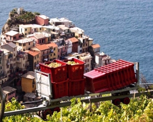 Riomaggiore, presto una monorotaia per aiutare i lavori agricoli