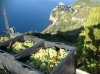La produzione di vini DOP delle Cinque Terre tutelata dai controlli dei Carabinieri Forestali