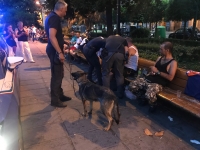 Blitz interforze in mezzo alla movida: spacciatore 29enne ai domiciliari (foto)