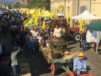 Ad Aulla la Festa dell&#039;Uva, al termine di una vendemmia positiva