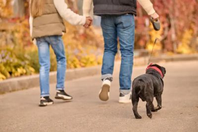 Passeggiata e lezione di educazione cinofila al Parco di Falconara