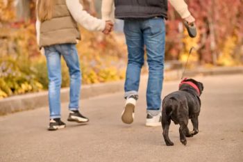 Passeggiata e lezione di educazione cinofila al Parco di Falconara