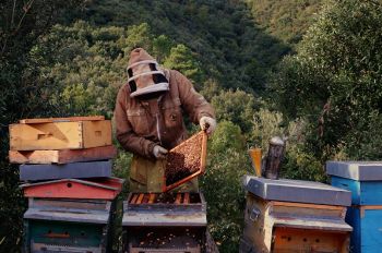 Per i vent&#039;anni del marchio, il Miele della Lunigiana DOP si fa conoscere attraverso uno spot