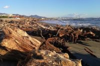 Detriti sulla spiaggia