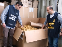 Porto della Spezia: sequestrate oltre 12 tonnellate di tabacco trinciato