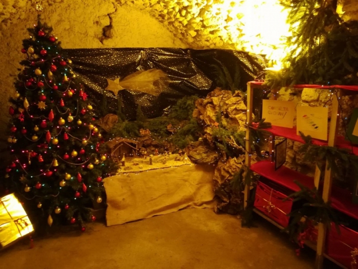 Natale: al via l&#039;acquisto di piante Made in Liguria