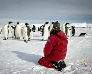 Conclusa la missione dei palombari del Comsubin in Antartide: il reportage di quattro mesi immersi tra i ghiacci (foto)