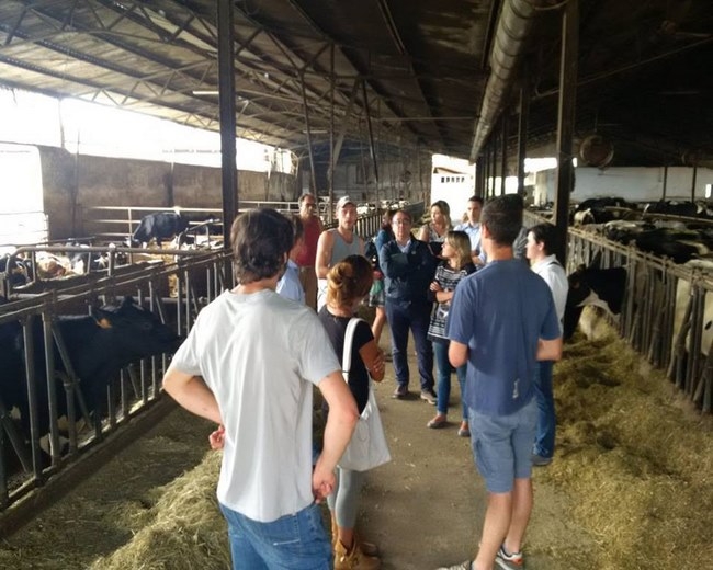 Produttori di latte spezzini a Torino per &quot;Un giorno da allevatore&quot;. In Liguria -40% di stalle in 7 anni