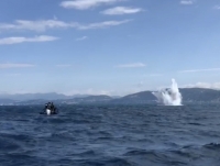 Sono stati fatti brillare gli ordigni ritrovati in mare vicino al Tino (video)