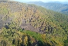 Framura, distrutti oltre 100 ettari di bosco: via alle operazioni di bonifica (foto)