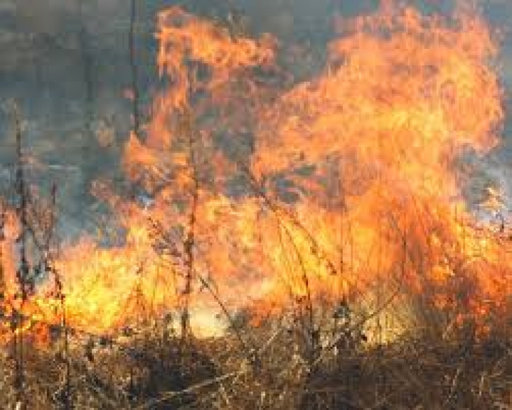 Prevenzione dei danni da incendi e calamità, prorogata la sottomisura del PSR