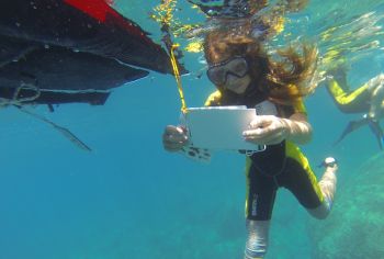SeaTrek, Snorkeling scientifico nell&#039;area marina protetta delle Cinque Terre