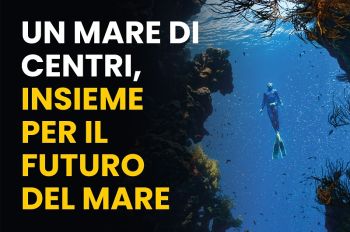 Alla Spezia l&#039;incontro con l&#039;esperta di conservazione dell&#039;ambiente marino Mariasole Bianco