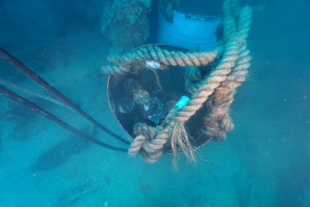 Cinque Terre, i Palombari rimuovono gli ordigni bellici dal relitto di nave Equa (foto)