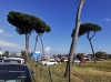 Marinella, spiagge ancora in subbuglio (foto)