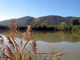 &quot;Necessaria una riforma del Parco di Montemarcello - Magra - Vara&quot;