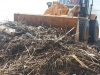 CNA: Regione autorizzi lo smaltimento del legname