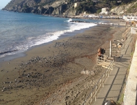 Mareggiata Levanto: subito pulizia degli arenili per gli eventi sul lungomare, entro marzo il ripascimento