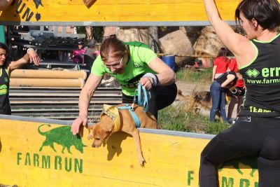 Farm DOG Noceto, una fanta-corsa a ostacoli dove non si potrà dire che &quot;non c’era neanche un cane&quot;