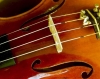 Week-end a tutto Paganini con il Festival Paganiniano di Carro