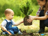 A Sarzana quando nasce un bimbo nascerà anche un albero