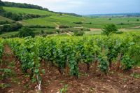 Settantesima edizione del Concorso dei Grandi Vini di Francia a Mâcon