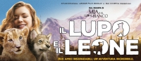 Il Lupo il Leone ...e pop corn in Mediateca