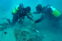 I palombari nel Golfo dei Cagliari