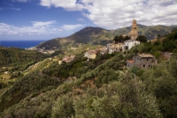 A Levanto una camminata tra gli olivi con degustazione di vini e oli locali