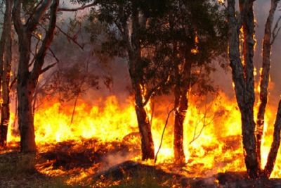 Incendio a Rocchetta Vara: in azione elicottero regionale e canadair