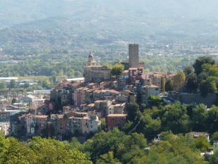 &quot;Taglio alberi sulla strada Romito-Trebiano, sindaco valuti di sospendere i lavori&quot;