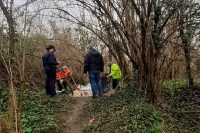 Sarzana, cane avvelenato da un boccone