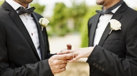 Matrimonio gay a Santo Stefano, PD e Giovani Democratici ribattono a Ponzanelli