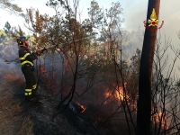 Sesta Godano, bruciano oltre 5 ettari di bosco