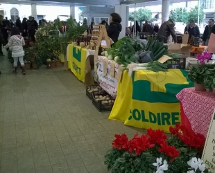 &quot;La Fattoria in Città&quot;, Coldiretti presente! Quindici aziende associate domenica in Piazza del Mercato