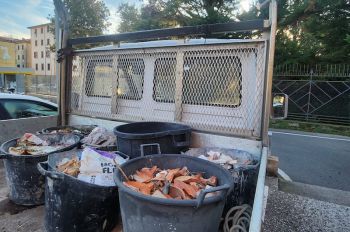 Trasportavano abusivamente 500kg di detriti e scarti: due denunce e autocarro sequestrato